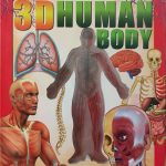 3D Human Body
