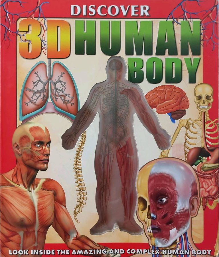 3D Human Body